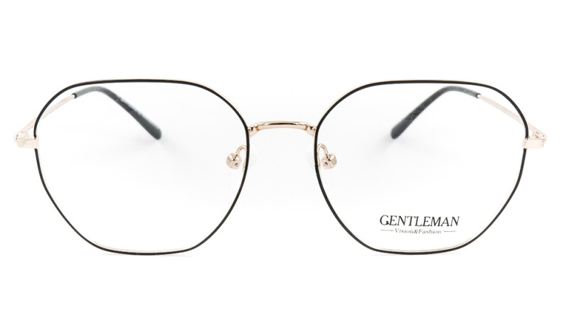 GENTLEMAN DP33069 C2 GENTLEMAN DP33069 C2