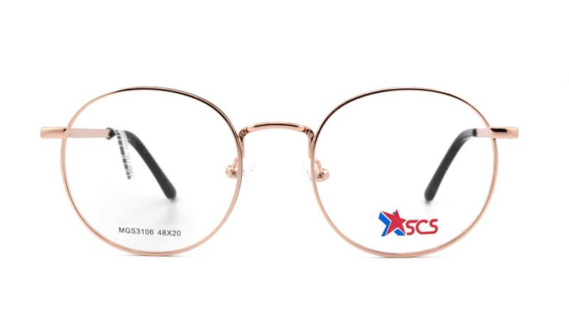 Success MGS3106 C4 Success MGS3106 C4