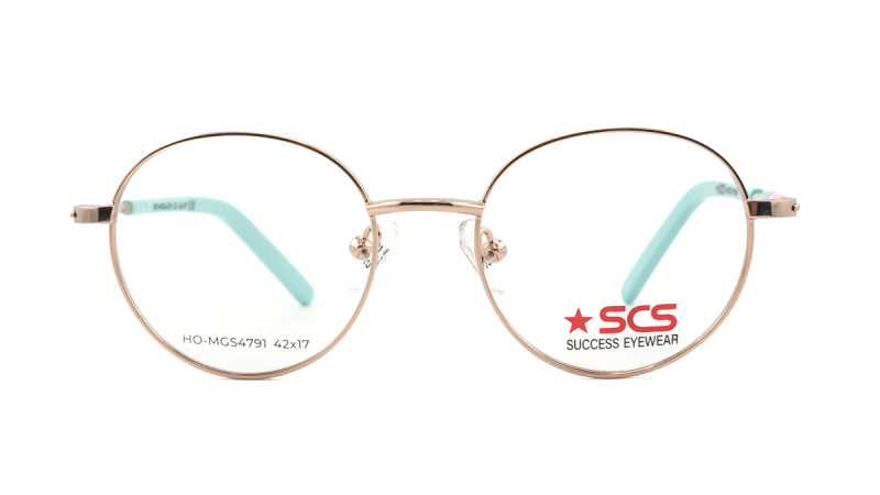 SUCCESS HO-MGS4791 C3 SUCCESS HO-MGS4791 C3