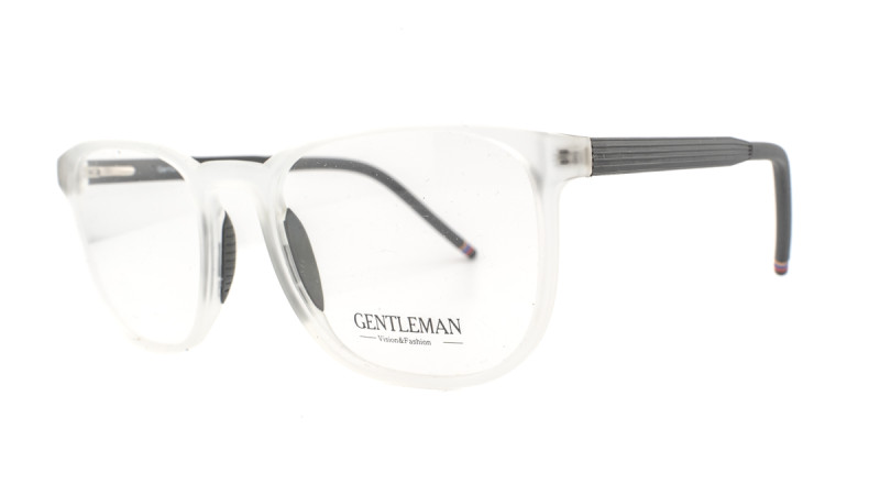 GENTLEMAN FA05-01 C08A GENTLEMAN FA05-01 C08A