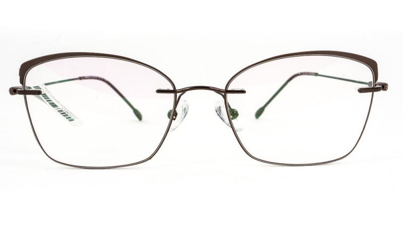 BRENDA N101 C1 BRENDA N101 C1