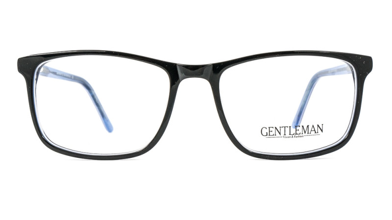 GENTLEMAN A2040 C5