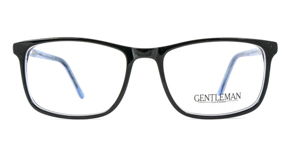 GENTLEMAN A2040 C5