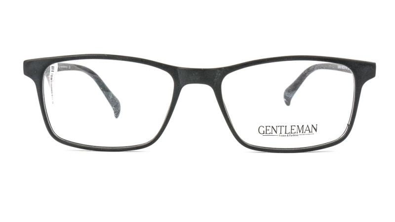 GENTLEMAN LS8033 C2