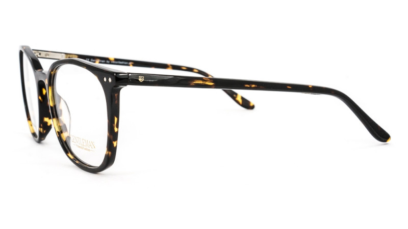 GENTLEMAN SS6005 C6