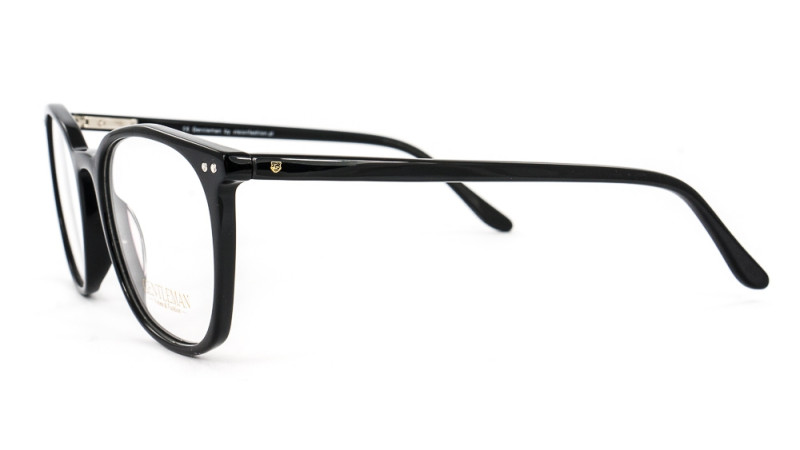 GENTLEMAN SS6005 C1