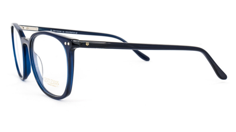 GENTLEMAN SS6005 C4 GENTLEMAN SS6005 C4