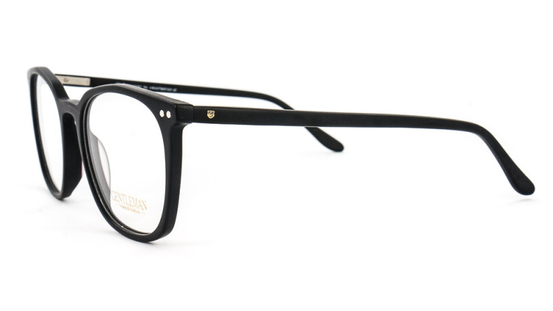 GENTLEMAN SS6005 C2