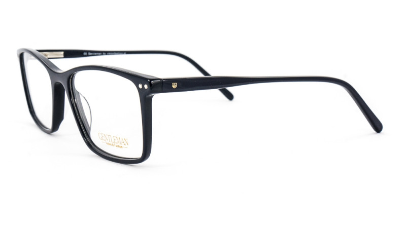 GENTLEMAN SS6002 C2
