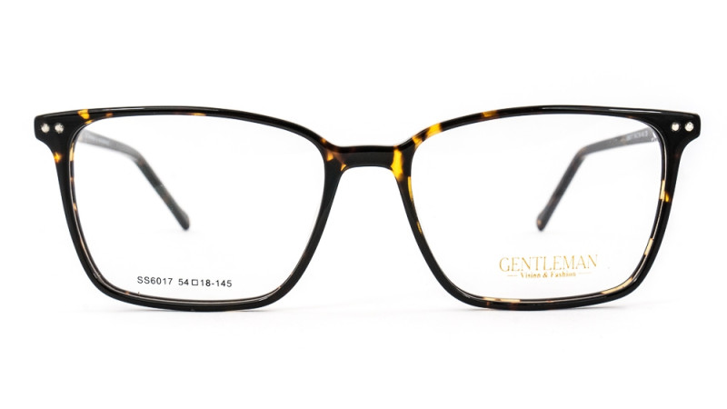 GENTLEMAN SS6017 C6 GENTLEMAN SS6017 C6
