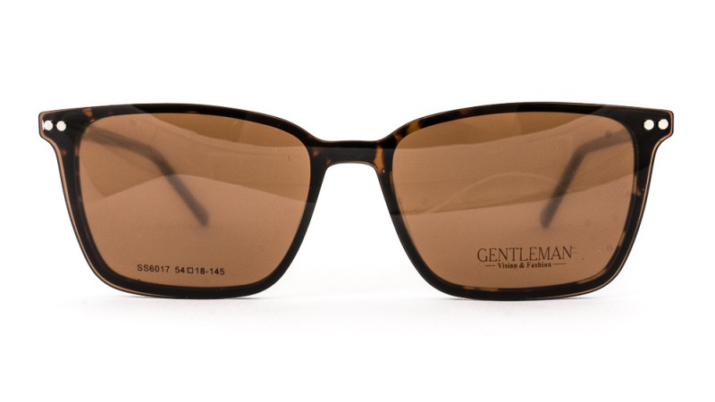 GENTLEMAN SS6017 C6