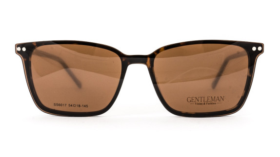 GENTLEMAN SS6017 C6