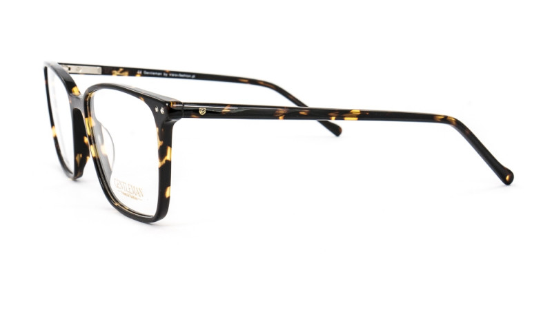 GENTLEMAN SS6017 C6 GENTLEMAN SS6017 C6