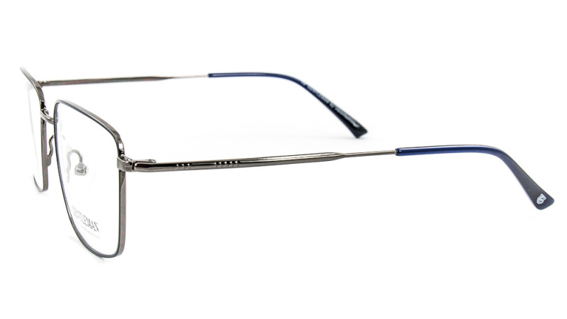 GENTLEMAN DP33079 C4 GENTLEMAN DP33079 C4